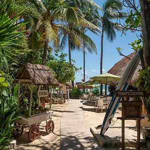 hotel-colibri-beach.quintano-roohotels.com/